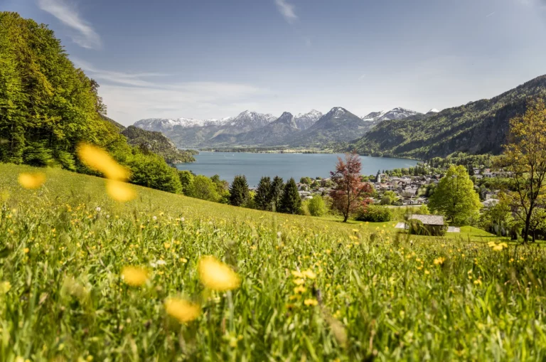 Wolfgangsee © Mirja Geh